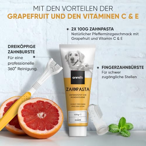 animigo 2X Hundezahnpasta (je 100g), 1x dreiköpfige Hundezahnbürste & 1x Fingerzahnbürste - Gegen Plaque & Zahnstein - Ohne Zuckerzusatz, künstliche Farbstoffe & Aromen - Ohne Fluorid oder Xylitol