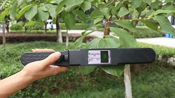 51xbv0jFCoL._AC_UF350,