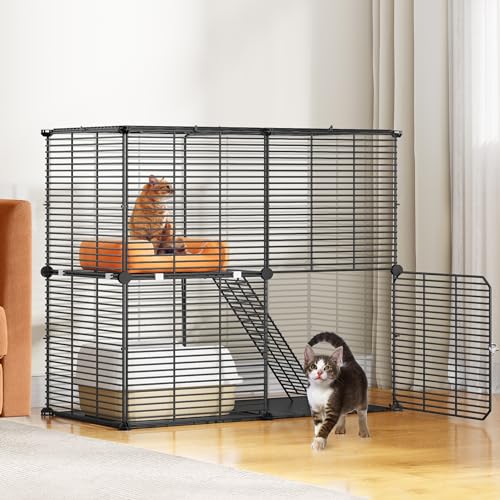 Kitten Cage The 15 best products compared Wild Explained