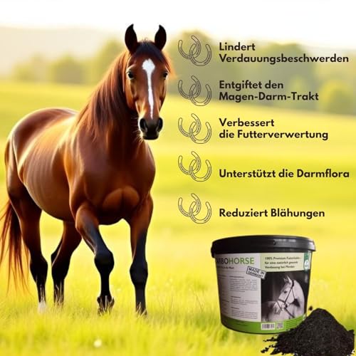 CarboVerte Futterkohle für Pferde 3,5 kg – gegen Kotwasser & Verdauungsprobleme – natürliche Entgiftung, glänzendes Fell & mehr Vitalität – 100% pflanzlich, staubarm