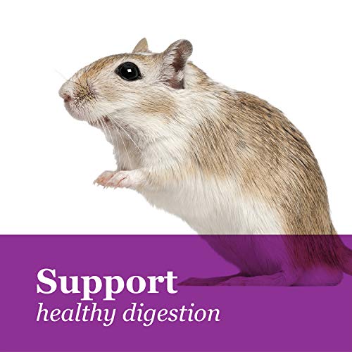 Tropical Carnival 44882 F.M. Brown'S Tropical Carnival, Natural Hamster-Gerbil Food thumb #6