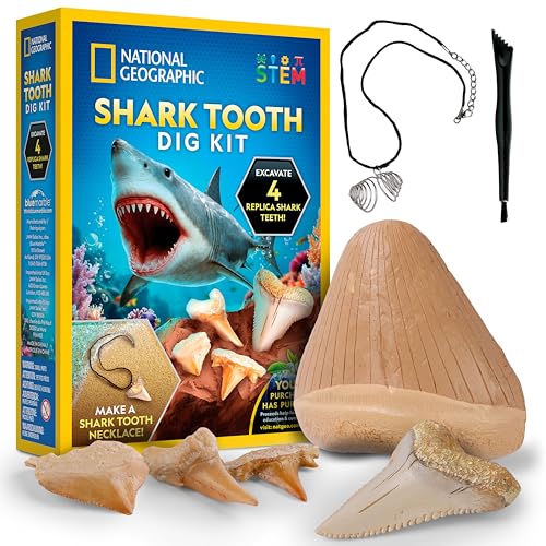 National Geographic Shark Tooth Dig Kit Excavate Replica Teeth Fossils from Ancient Sharks and Make a Shark-Tooth Necklace STEM Science Kit for Kids Ages 6-8 Educational Fossil Dig Activity