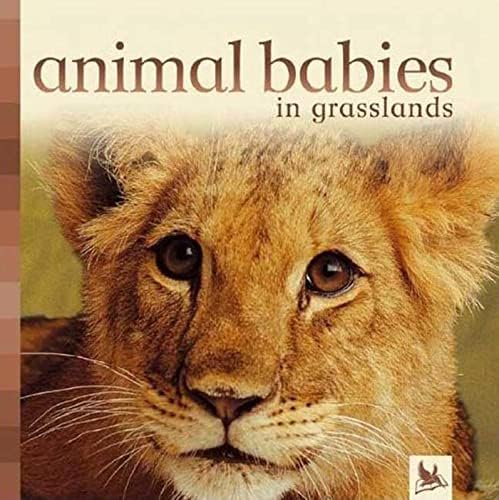Animal Babies in Grasslands Board book – October 1, 2006