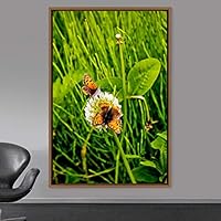 Framed Canvas Wall Art Butterflies Butterfly Colorful Farmhouse/Country Hallway Insects Multicolor Photography - 16x24 inches