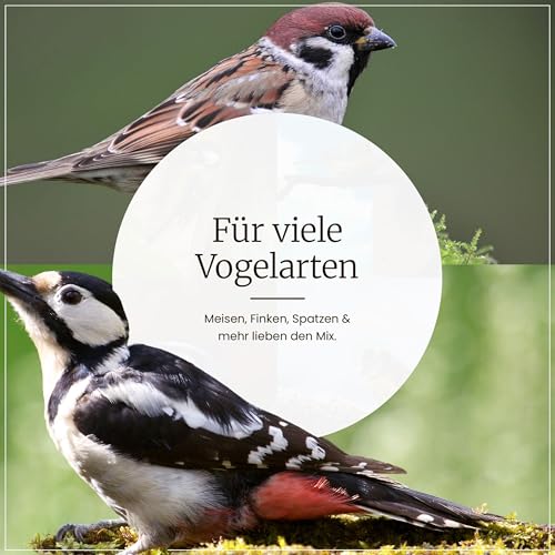 Erdtmanns Futterketten 12 x 650 g – Vogelfutter-Ketten mit Meisenknödeln & Nussbeuteln – abwechslungsreiches Ganzjahresfutter für Wildvögel – zum Aufhängen – Lange Haltbarkeit