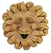 Red Carpet Studios Outdoor Faces, Sun Bird House
