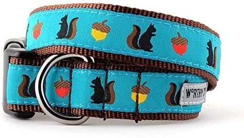 The Worthy Dog Squirrelly, Squirrel and Acorn Adjustable Designer Pet Dog Collar, Teal, XS