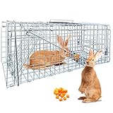 Live Animal Trap for Cats, Groundhogs, Opossums, Outdoor Small Animal Trap 24 X 7 X 8Inch Heavy-Duty