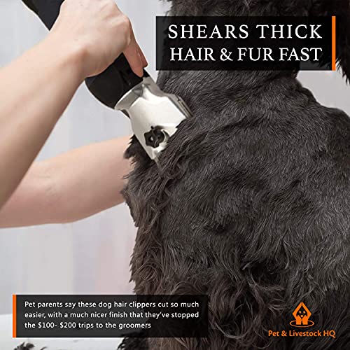 Professional Dog Grooming Clippers for Thick Coats - Dog Shears Heavy Duty Hair Kit - Large Dog Shaver Set - Pet Trimmer… - Image 4