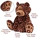 GUND Philbin Classic Teddy Bear, Premium Stuffed Animal for Ages 1 and Up, Chocolate Brown, 18”