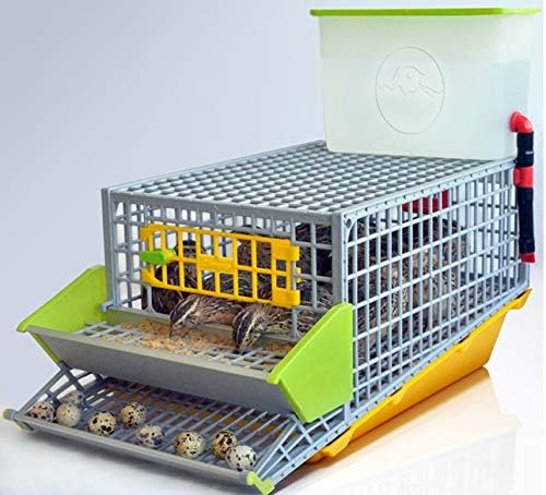 Quail Cage, The Patented Design, First in The World, Professional Quail Egg cage