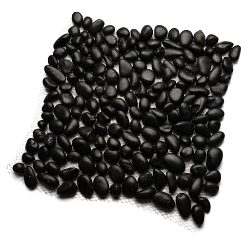CNK Mini Polished Black Pebble Tile - 12" X 12" Polished Natural Stone for Bathroom, Kitchen, Shower Floors, Backsplashes & Floor Tiles | Glue with Mesh Backing for Easy Installation - Pack of 1