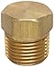 Anderson Metals 56121 Brass Pipe Fitting, Cored Hex Head Plug, 3/8" NPT Male Pipe