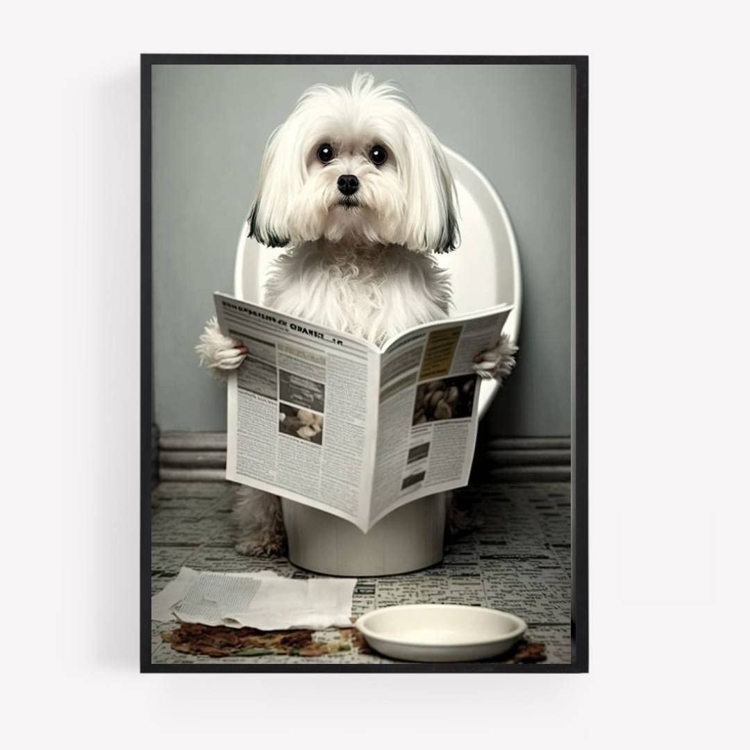 gfc Funny Bathroom Toilet animal Print Picture Poster maltese dog on a toilet reading newspaper A4 UNFRAMED wall art Home decor Decorating