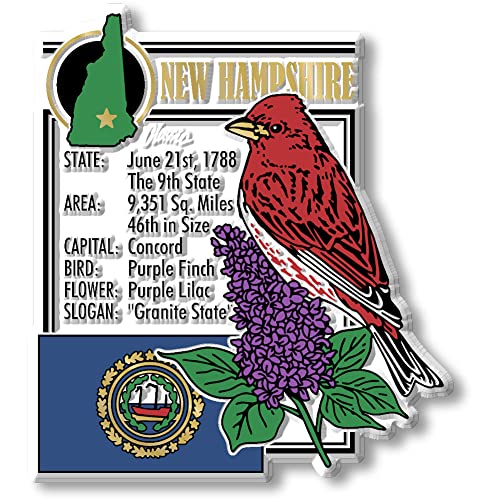 New Hampshire State Montage Magnet by Classic Magnets, 3" x 3.3", Collectible 3D Rubber Vintage-Style Souvenirs and Gifts Made in the USA