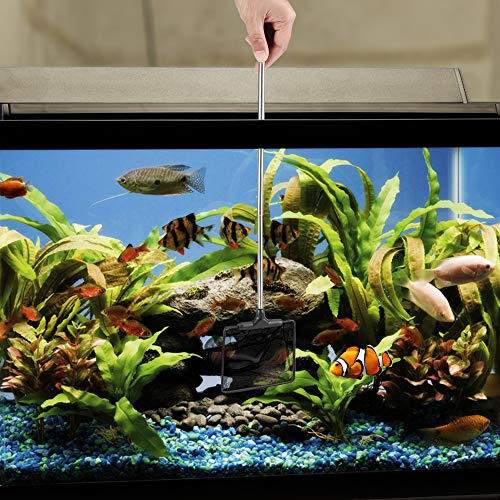 Image of Lpraer Aquarium Fish Net with Extendable Stainless Steel Long Handle Fine Mesh Net for Fish Tank