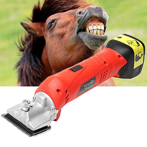 Tondeuse pour chevaux sans fil Wahl KM Supera