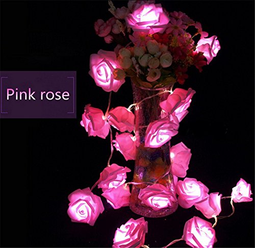 Emwel fiore fata luci 20 LED luci a pile Rose
