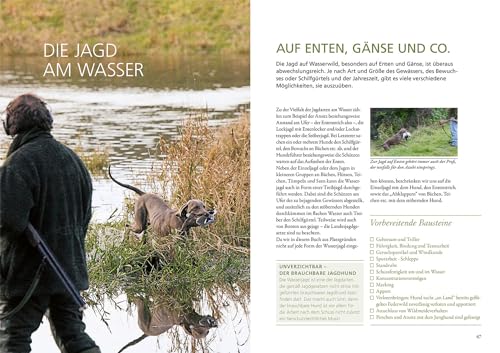 Die Ausbildung des Jagdhundes: Der Leitfaden für die jagdliche Erziehung