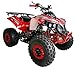 HHH 125cc ATV Quad Youth Utility Style ATV 125cc Fully Automatic Outlander ATV with Reverse Gas 4 Wheeler ATVs Quads Big 19/18 inch Tires (Blue)