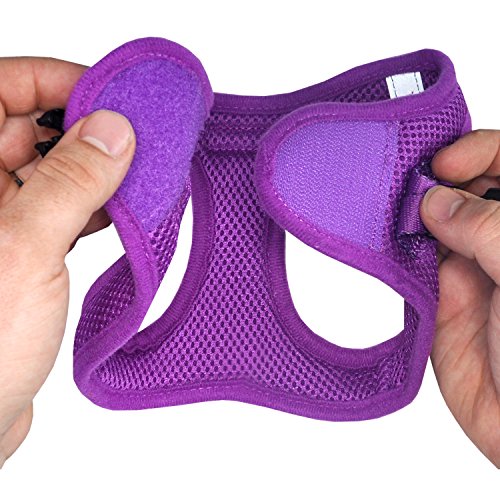 Downtown Pet Supply - Dog Harness for Small Dogs No-Pull - Step in Dog Harness - Padded Mesh Fabric Dog Vest with… - Image 6