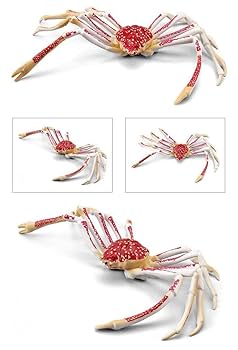 Amazon.co.jp: [猫神山] タラバガニ & タカアシガニ 2体セット海