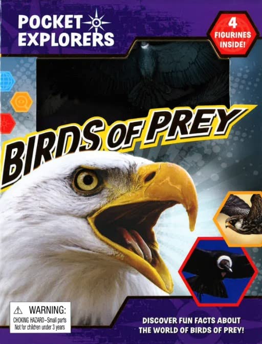 Birds of Prey Pocket Explorers
