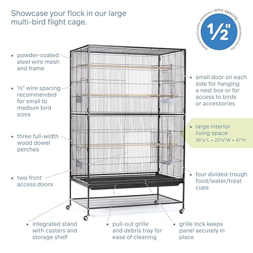 Prevue Hendryx F050 X-Large Flight Cage