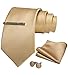 JEMYGINS 9cm Breit Extra lang Krawatte Herren Champagner Gold in Seide Geeigneter Hochzeit Fest und Einstecktuch Krawattenklammer Set(10)