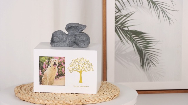 Cornice Commemorativa Per Animali Domestici, Regalo Per