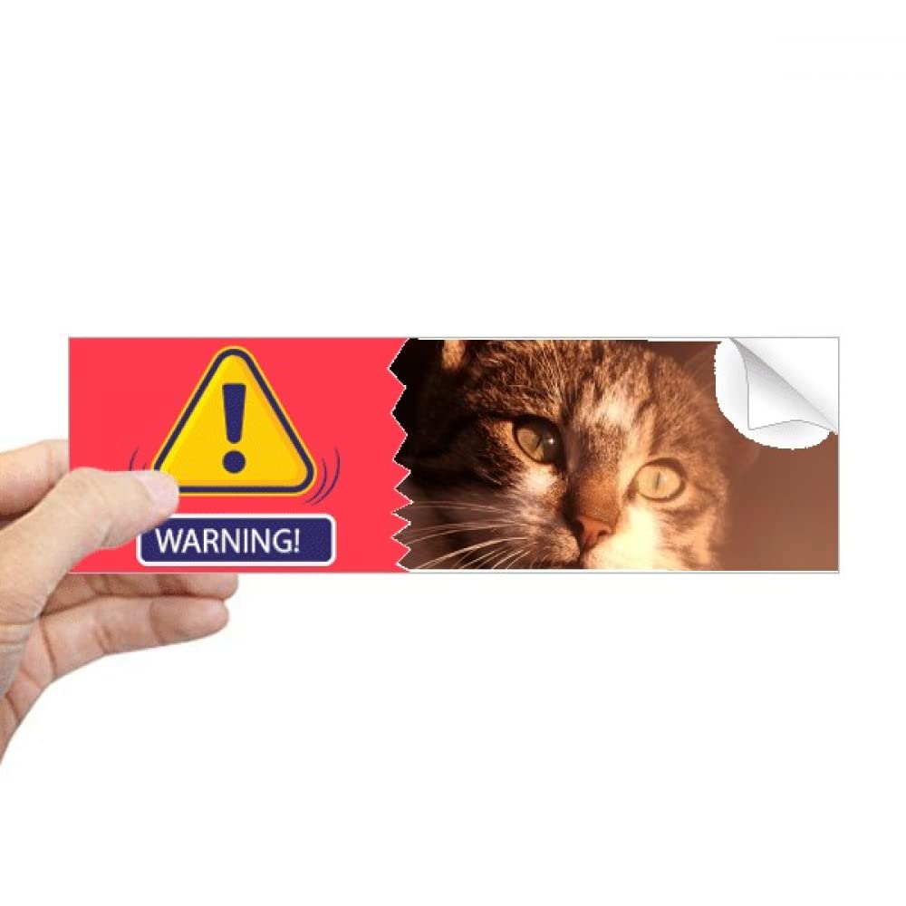 DIYthinker Animal Sentimental Cat Simpol Shoot Warning Graffiti Decal Waterproof Car Bumpe Sticker