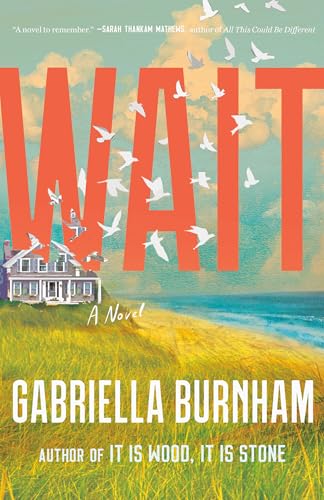 Cover of Wait: A Novel