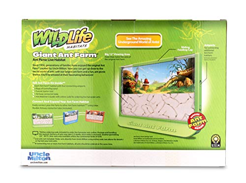 Uncle Milton Giant Ant Farm - Large Viewing Area - Care for Live Ants - Nature Learning Toy - Science DIY Toy Kit… - Image 3
