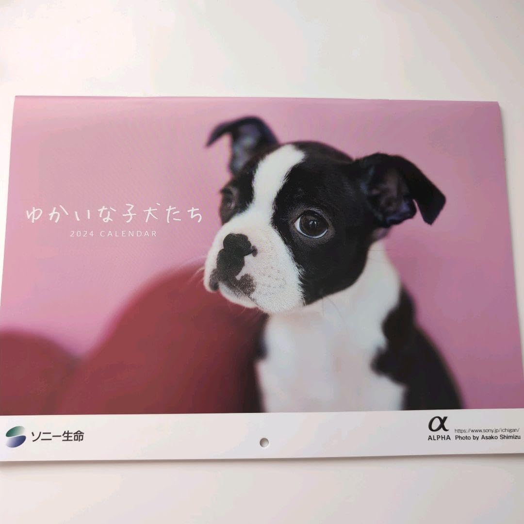 Amazon.co.jp: 生命 ゆかいな子犬たち 2024年 壁掛けカレンダー