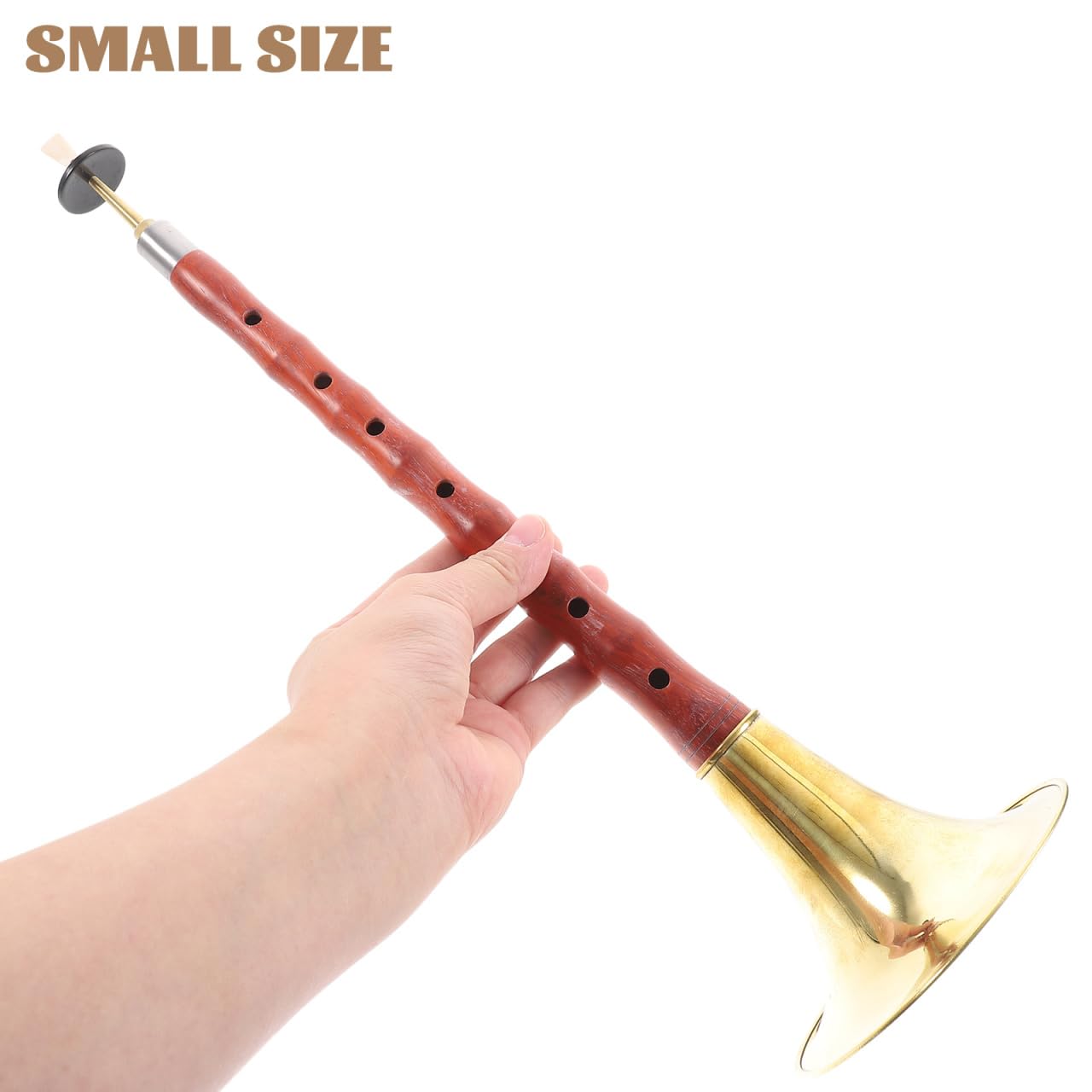 HEMOTON Suona Aus Palisander Für Anfänger C-Tonart Ethnisches Blasinstrument Chinesische Suona Mit Schilfrohr Und Kunststoffrohren Musikinstrument Set