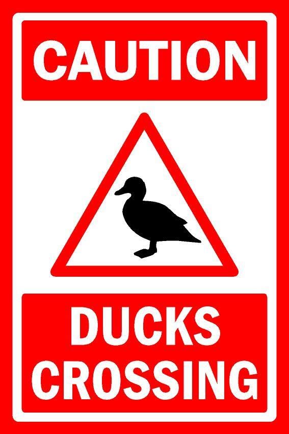 Caution ducks crossing - 1mm flexible Plastic sign (200mm x 150mm)