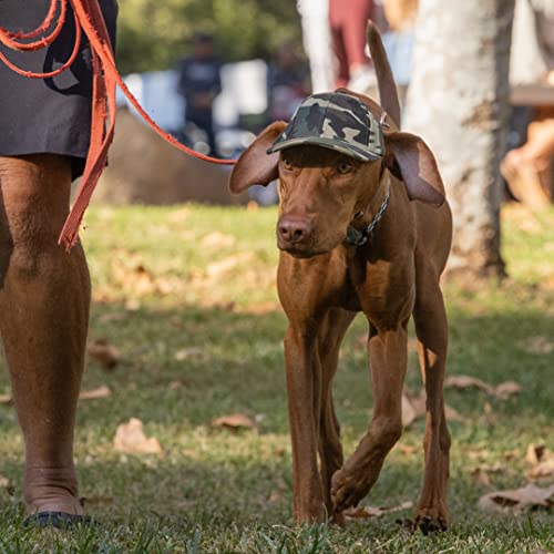 Puplid Baseball Caps For Dogs - Premium Stylish Sun Protection For The Modern Dog (Small, Camo) #TOP4