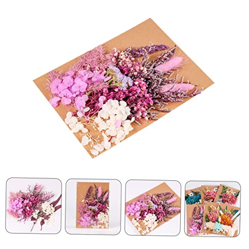 Kit DIY de flores secas para manualidades miniatura 5