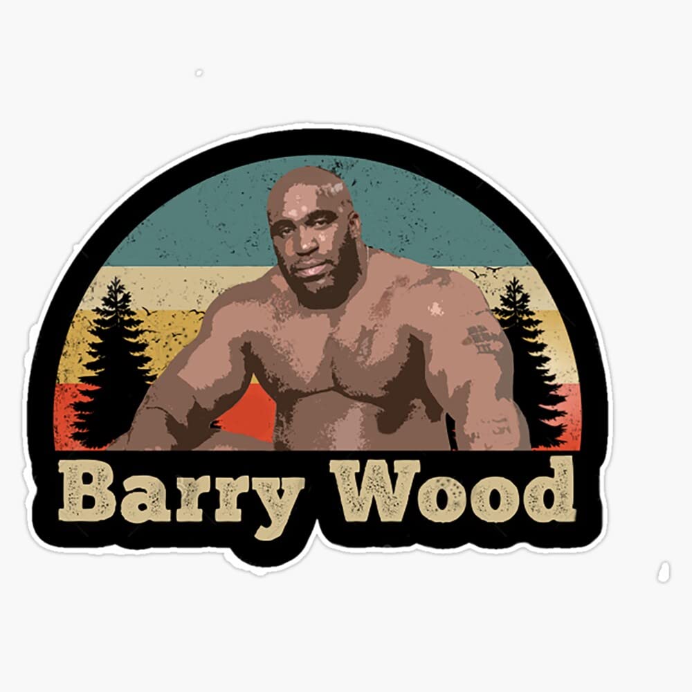 Barry Wood Black Guy PBS Meme Sticker Bumper Sticker Vinyl Decal 5