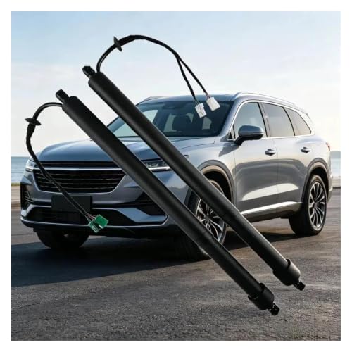 Verin Gaz hayon électrique pour Volvo XC40 2021+ 32296296 32296297