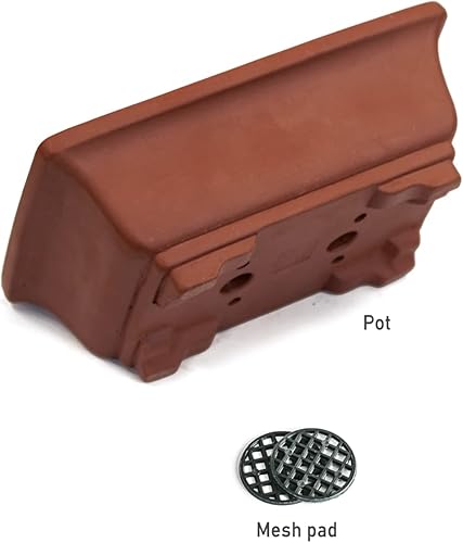 Miniatura 6 de Dahlia - Macetero de barro (zisha) para suculenta con plato para drenaje