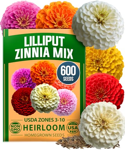 HOME GROWN Zinnia Lilliput Mix Flower Seeds 600 Seeds (4g) Zinnia elegans Colorful Zinnia Seed Mix for Planting Spring 2026 for Garden Beds Containers & Cut Flowers Easy Grow Zinnia Seeds