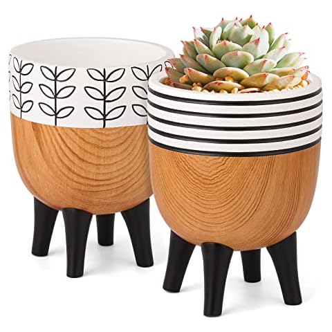 4 Inch Succulent Planter Pots with Stand, Indoor Outdoor Plant Pots with Drainage Hole, Modern Design Cactus Pots for Home Office Desk Garden Decor, Set of 2 Cover