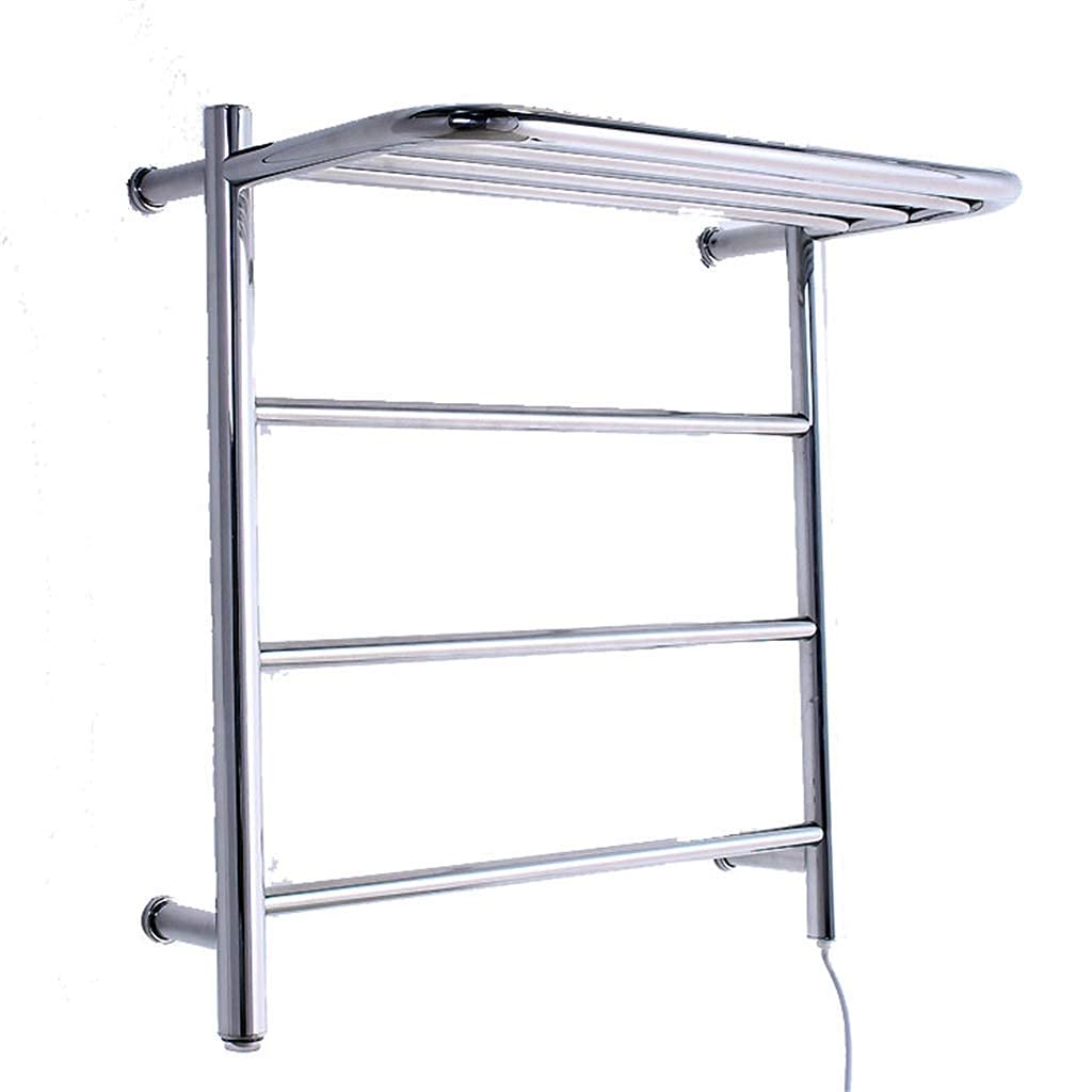 Small Electric Towel Rail Caravan Motorhome 6 Bar Wall Mount Stainless  Steel Electric Heated Towel Rail for Stylish Bathroom : Amazon.ca: Home