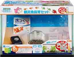 きんぎょページ 金魚フィギュアコレクション | 卸売・ 問屋・仕入れの専門サイト