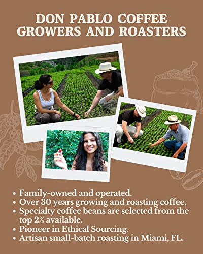 2LB Subtle Earth Organic Coffee - Medium-Dark Roast miniatura 4