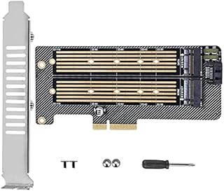 XTVTX Dual M.2 PCIE Adapter for SATA or PCIE NVMe SSD with Advanced Heat Sink Solution,M.2 SSD NVME (m Key) and SATA (b Key) 22110 2280 2260 2242 2230 to PCI-e x 4 Host Controller Expansion Card