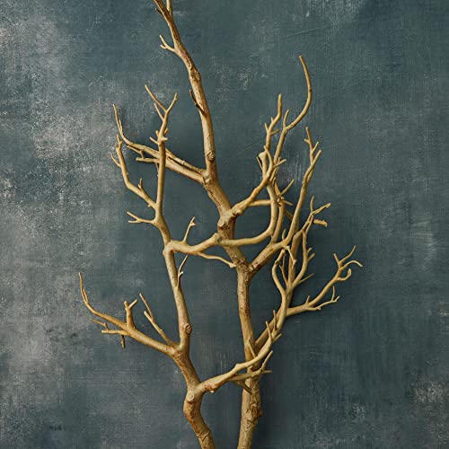 Ashland 3ft. Bare Birch Branch