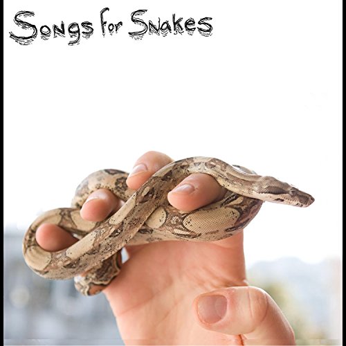 Songs for Snakes by Songs For Snakes on Amazon Music Amazon.co.uk