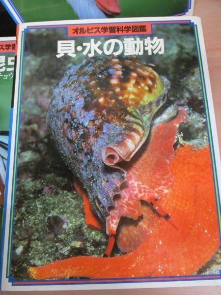 Amazon | オルビス学習科学図鑑 全8巻セット 学研 動物、鳥、花、野外